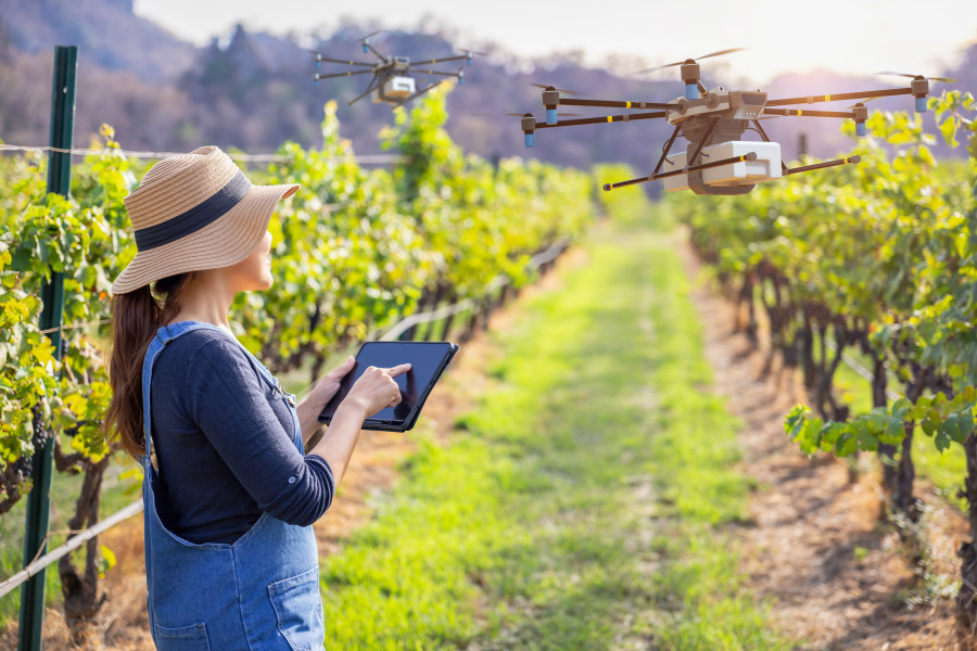 Woman in winery using drone technology