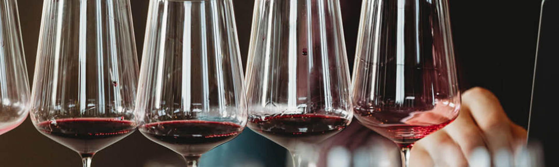 Blog template header 1 v2