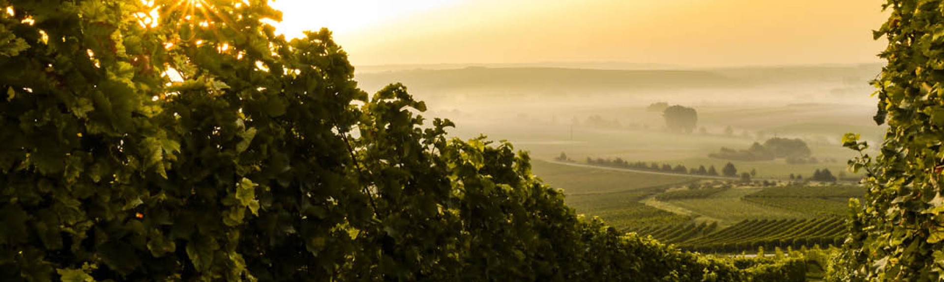 Blog template header 1 v3