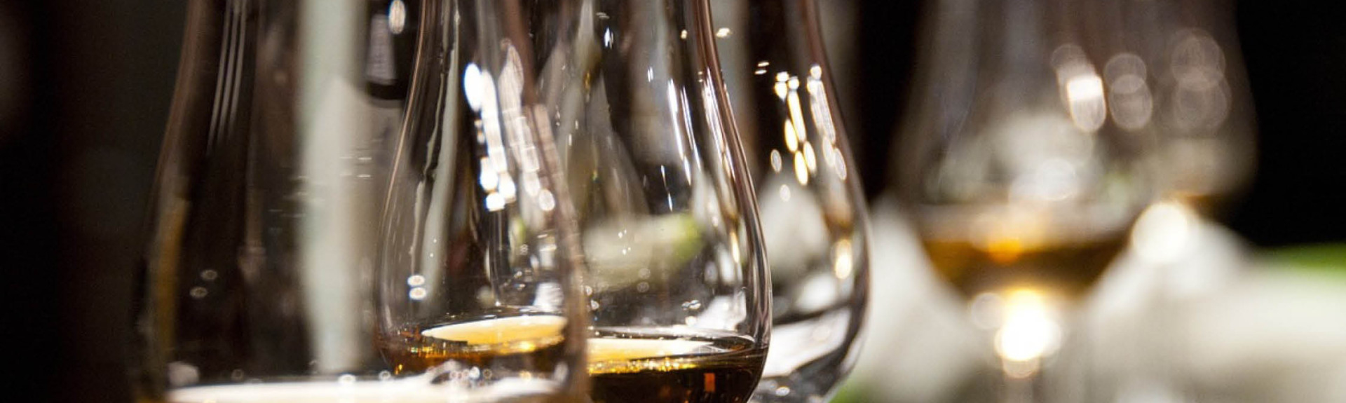 Blog template header 1