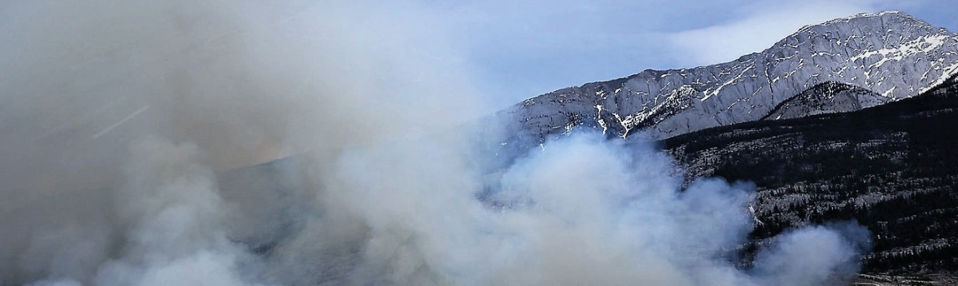 Blog template header wild fires wines