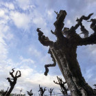 Blog thumbnail vine