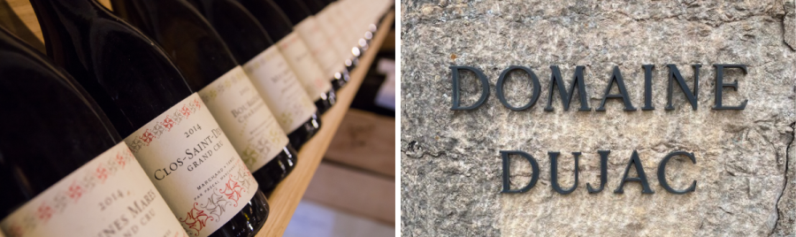Bottles of Marchand tawse wines and outside stone of Domaine Dujac