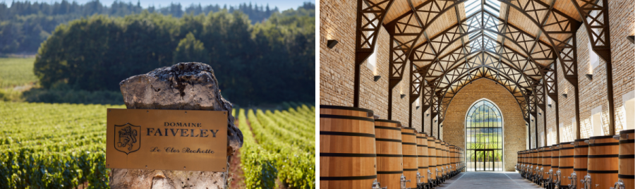 Domaine Faiveley's exterior and inside the barrel cellar 