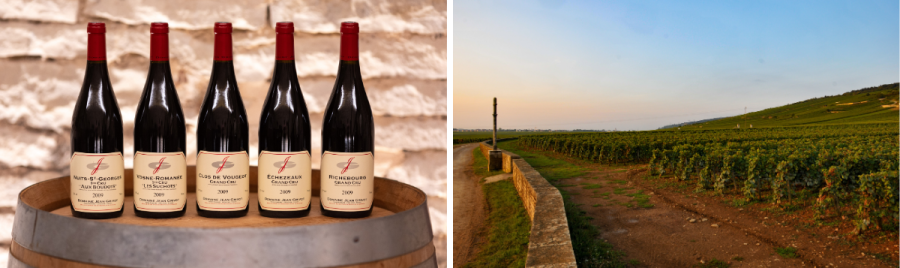 Bottles of Jean Grivot and vineyard view of the famous DRC (Domaine de la Romanee-Conti)