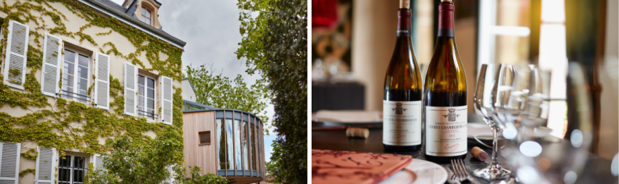 Outside of Domaine Trapet and some of their wines with glasses
