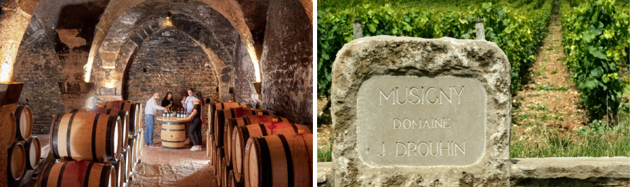 Inside the cellar of Drouhin and outside vineyard sign