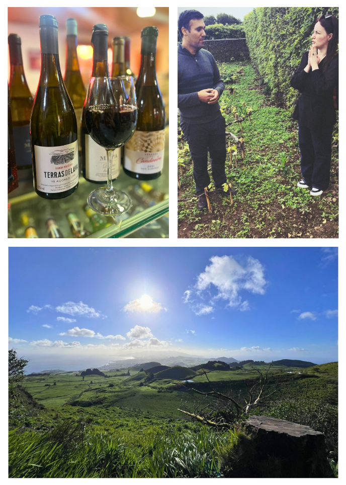Challenges & Triumphs of the Azorean Wine Industry