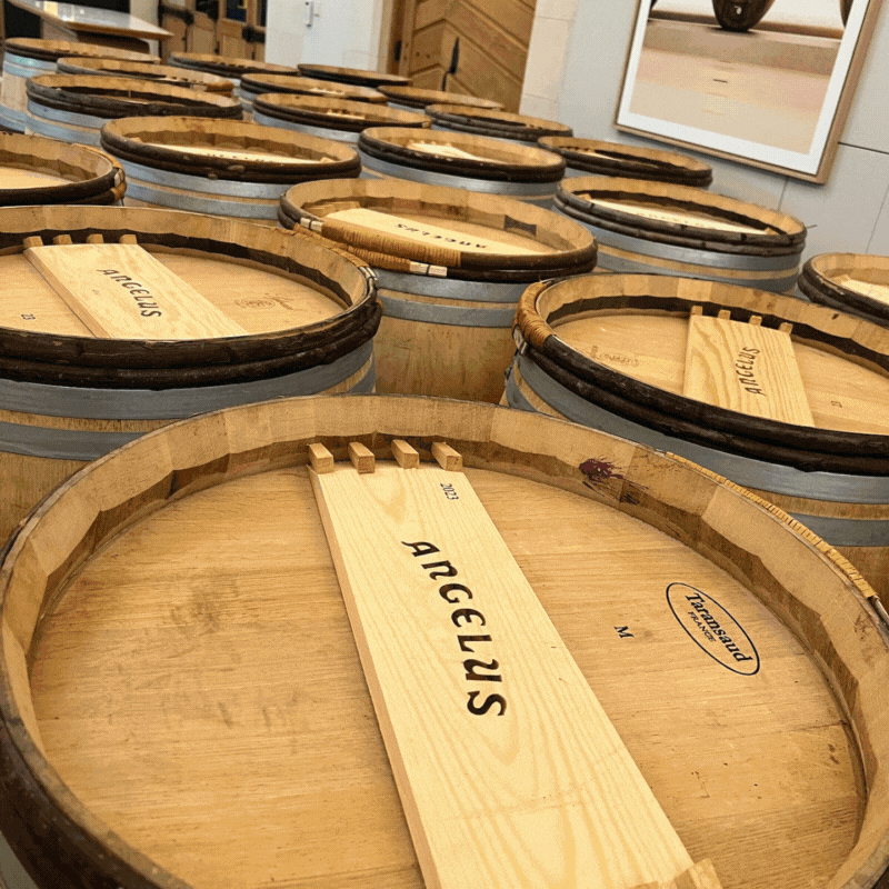 Bordeaux, Unhurried: A Journey of Depth & Perspective