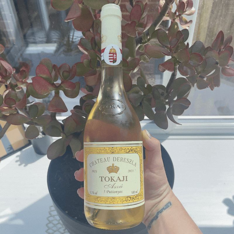 Wine of Kings, Reinvented: The Dry Furmint Revival of Tokaj