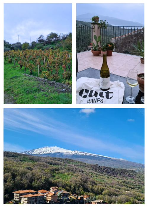 Etna – expressing geology through wine