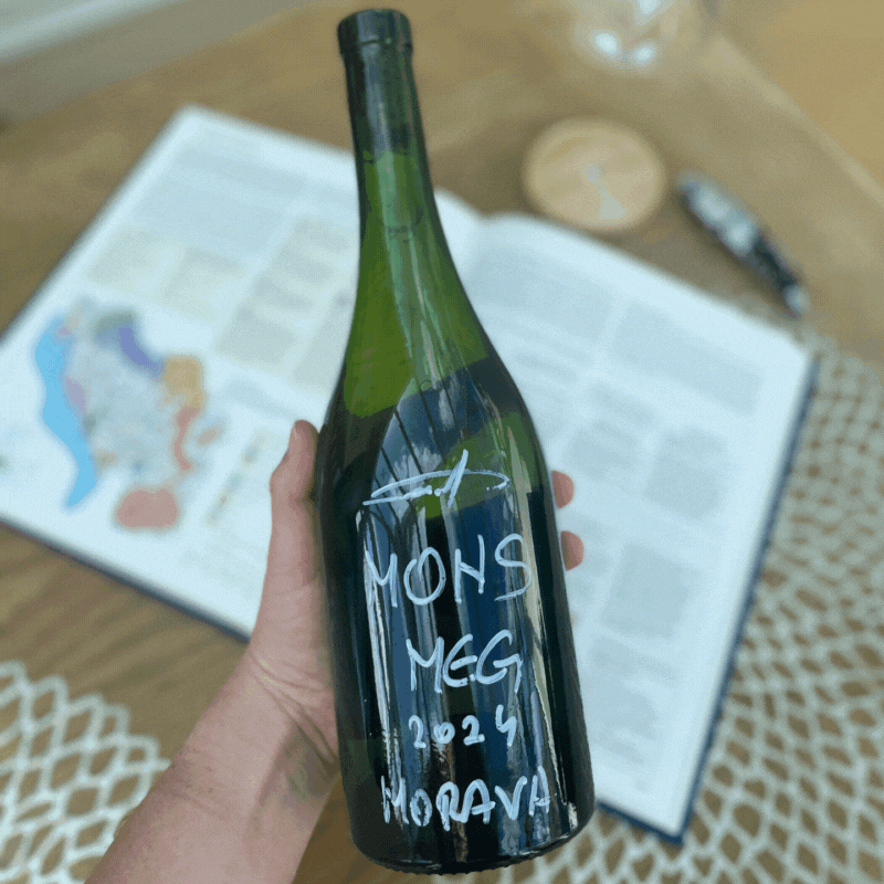 The Mystery of Morava: A Montenegrin Wine Discovery