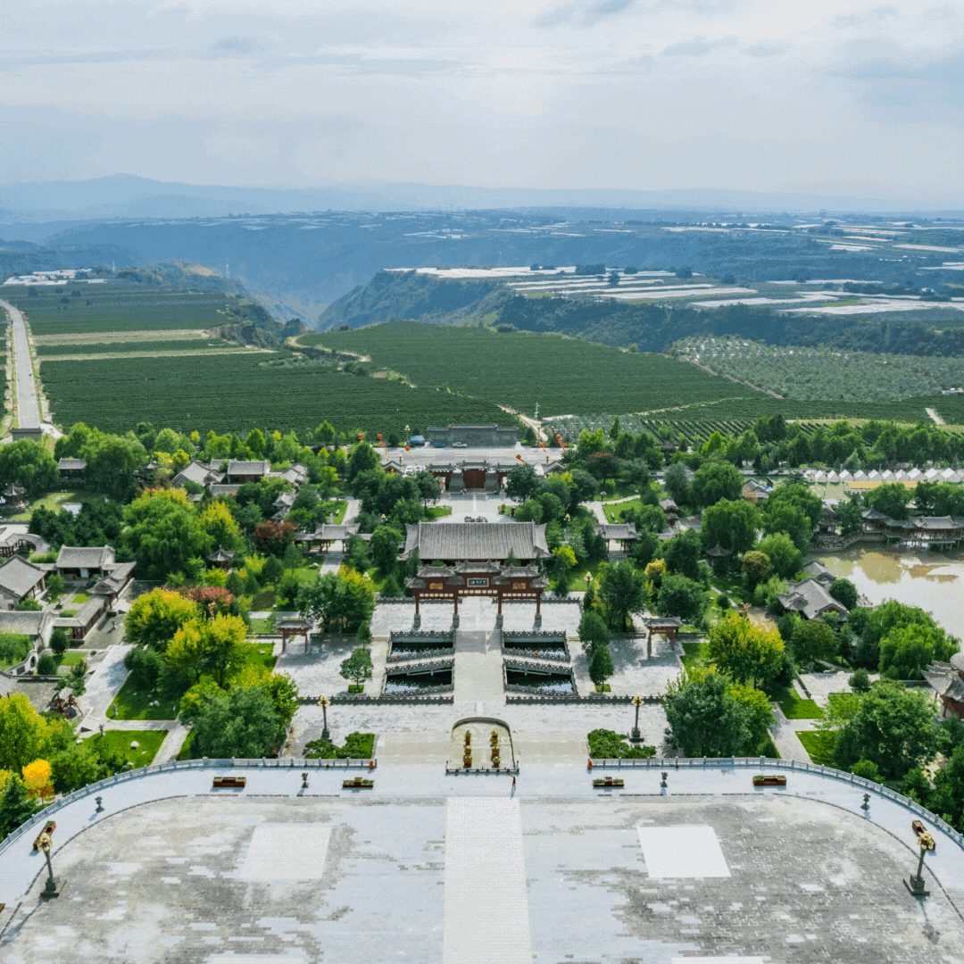 Red Gold Rising in the Vineyards of China