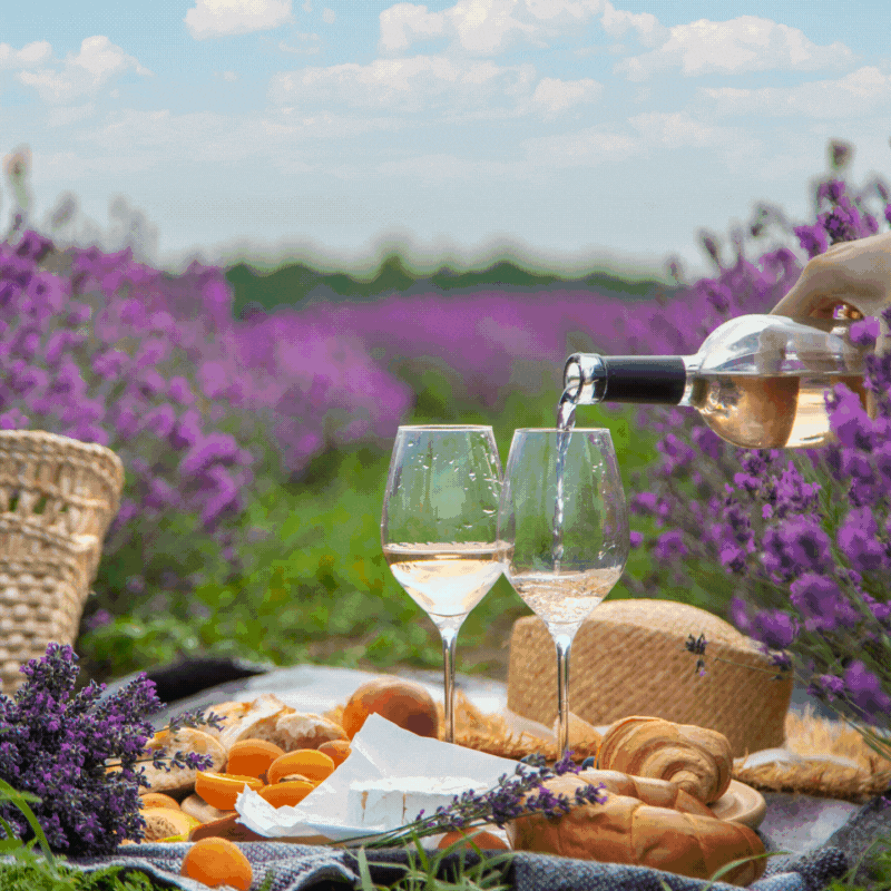 Top 10 Summer Wine Travel Destinations