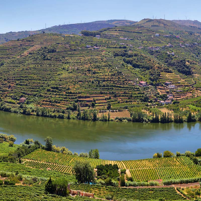 Porto and the Changing Face of Port