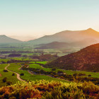 Dawn at Sena Vineyard