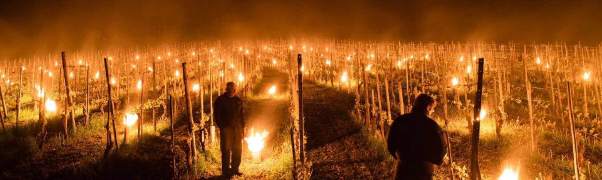 France Yield Template Header v2