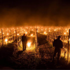France Yield Template Thumbnail