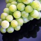 Frozen grapes
