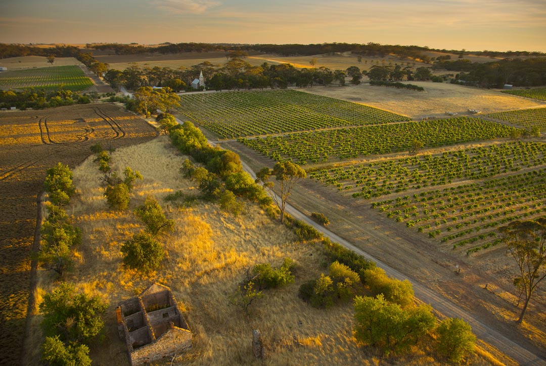 Henschke Hill of Grace Vineyard