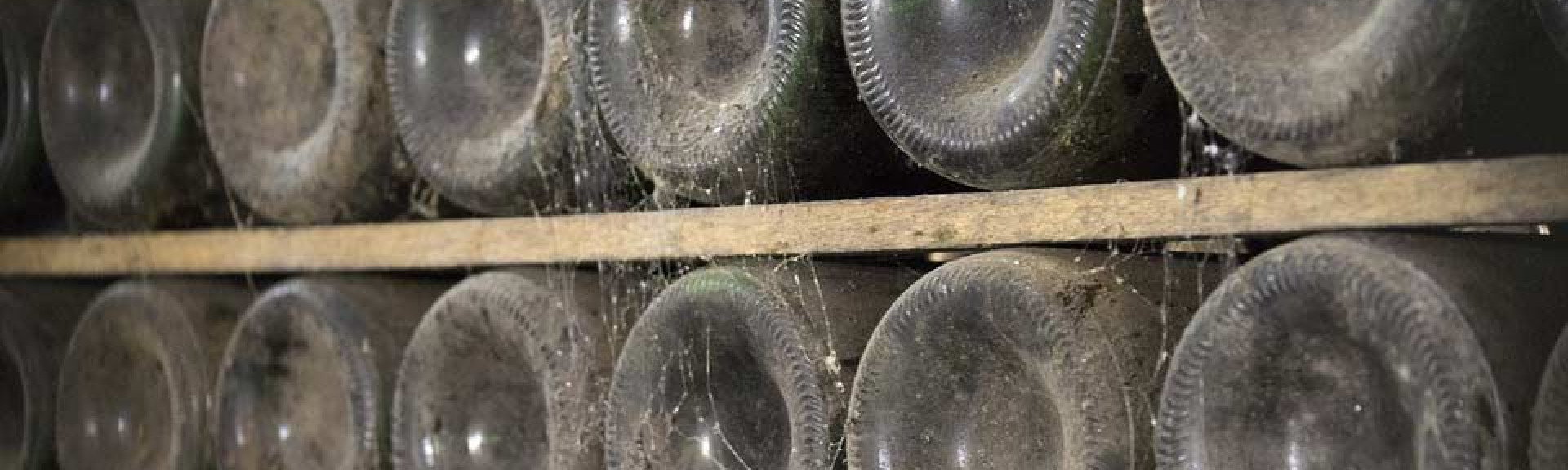 Historical wine discoveries full