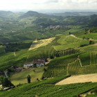 Italy wine history t