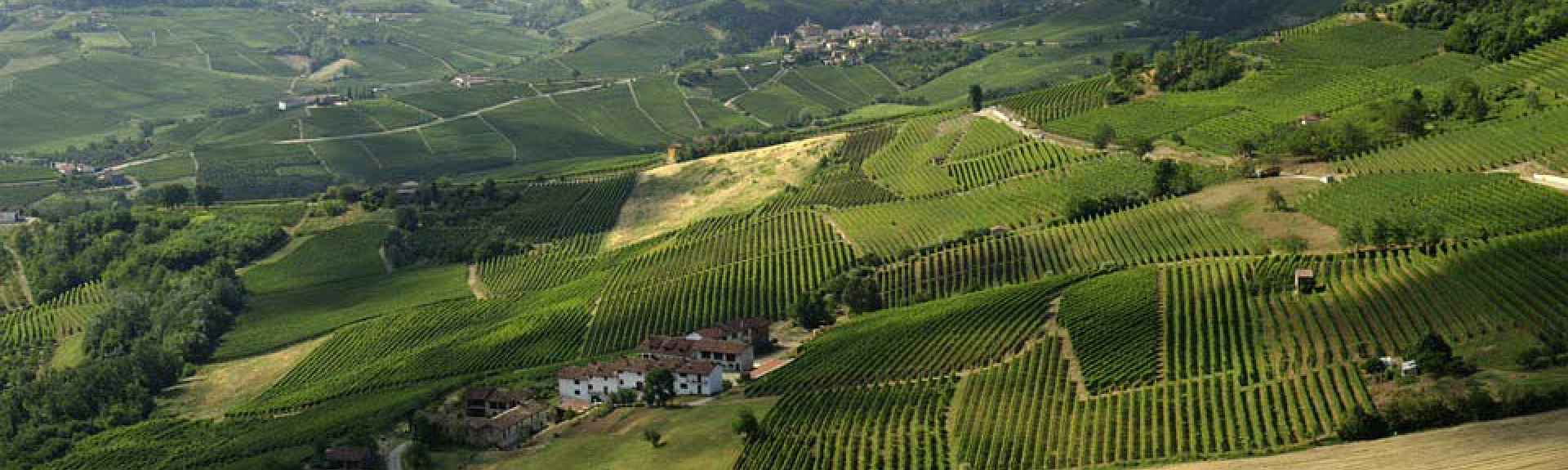 Italy wine history