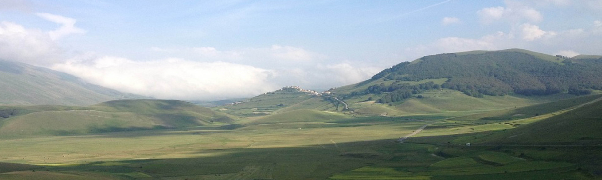 Le marche header