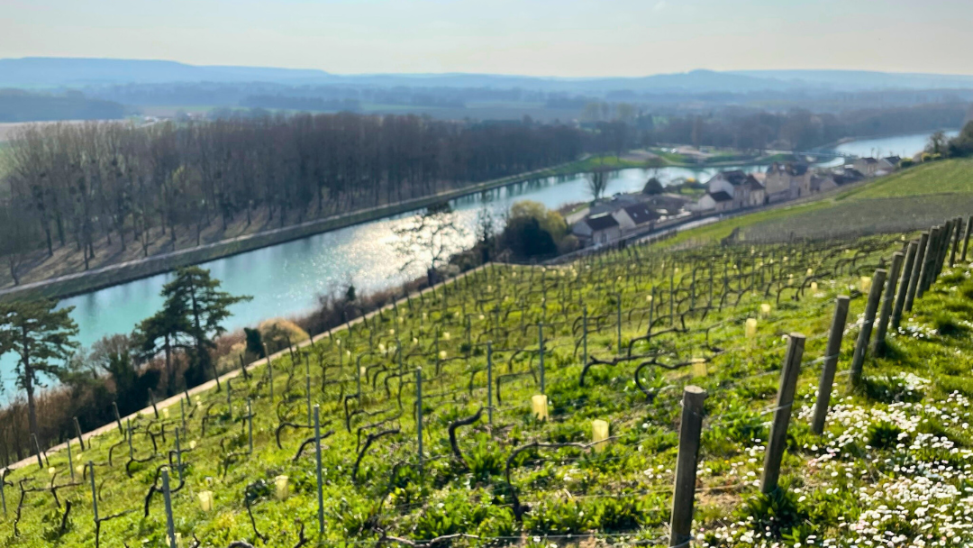 Marne Canal
