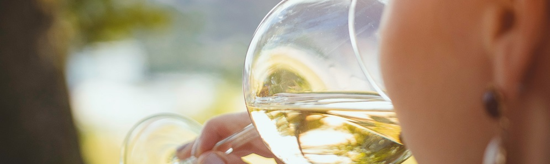 How to acquire a taste for wine Cult Wines United States