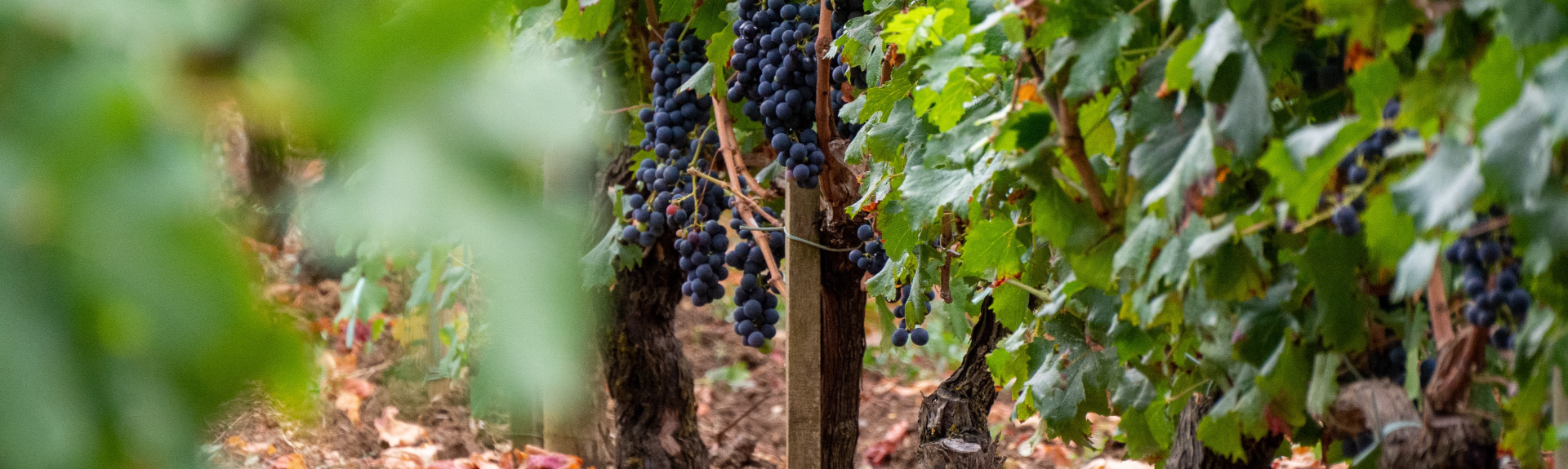 MicrosoftTeams image 28 v2