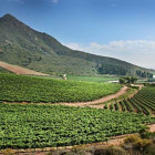 Swartland