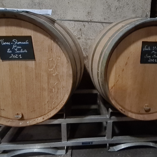 Burgundy 2021 image 10