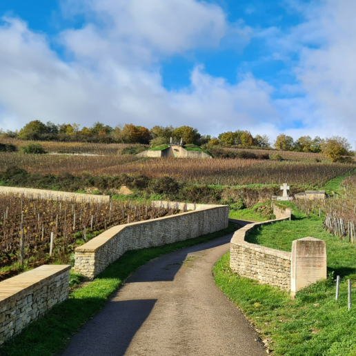 Burgundy 2021 image 2