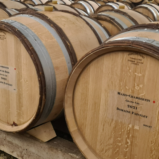 Burgundy 2021 image 5