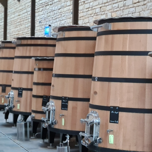 Burgundy 2021 image 6