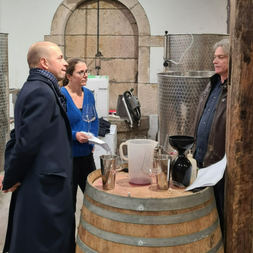 Burgundy 2021 image 8