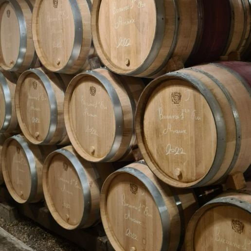 Burgundy 2021 image 9