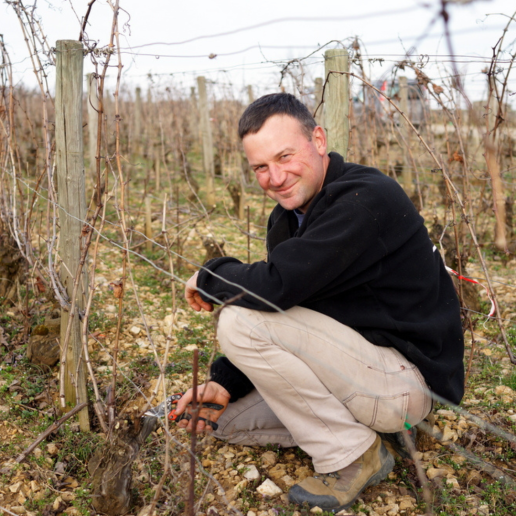 CWI 2107025 CultInsider FWF Web Square3