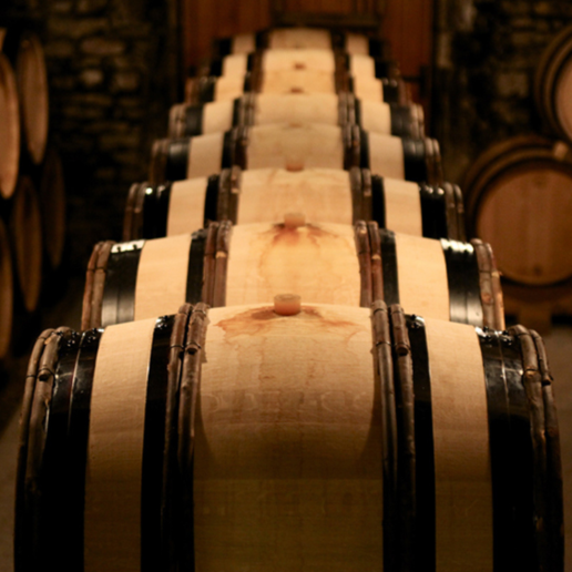 CWI 2107025 CultInsider FWF Web Square4