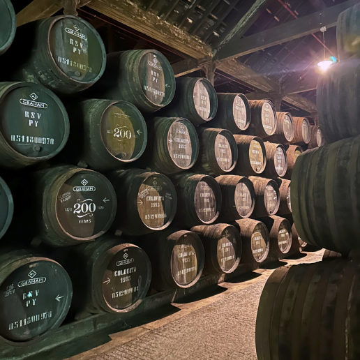 CWI 2404025 CultInsider ET Web Square2