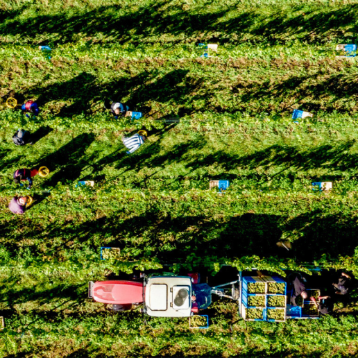 CWI 27022026 FWF Sparkling Image3