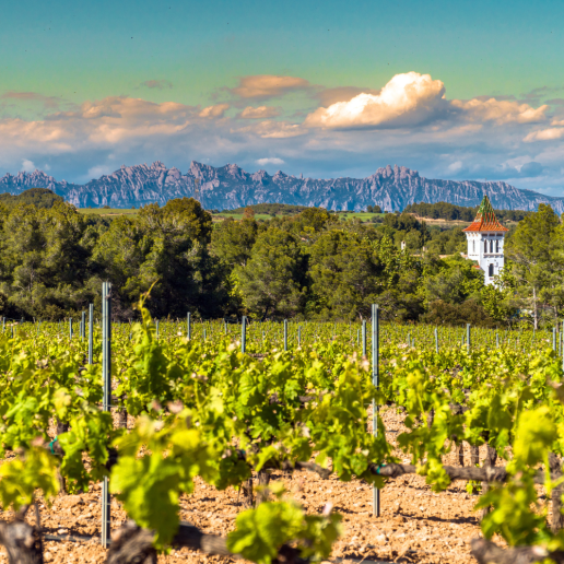 CWI Insights SummerWineDestinations Catalonia