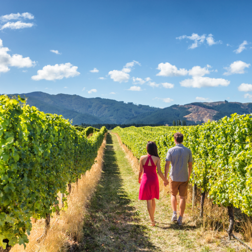 CWI Insights SummerWineDestinations Marlborough