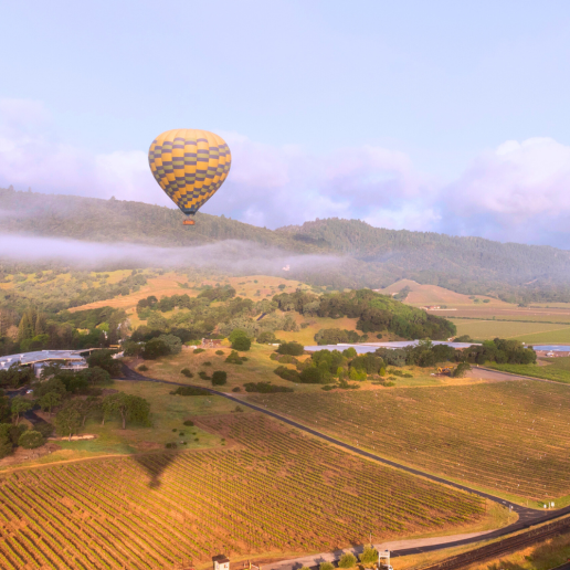 CWI Insights SummerWineDestinations NapaValleyV2