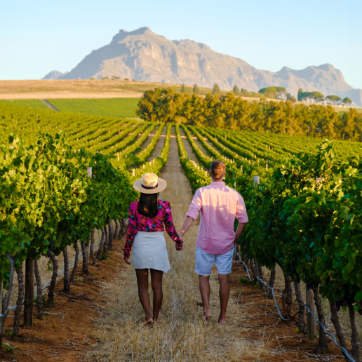 CWI Insights SummerWineDestinations Stellenbosch