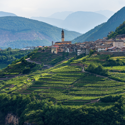 CWI Insights SummerWineDestinations Trentino