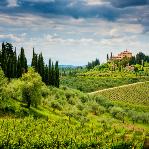 CWI Insights SummerWineDestinations Tuscany