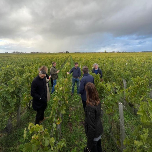 CW Vineyard CX website