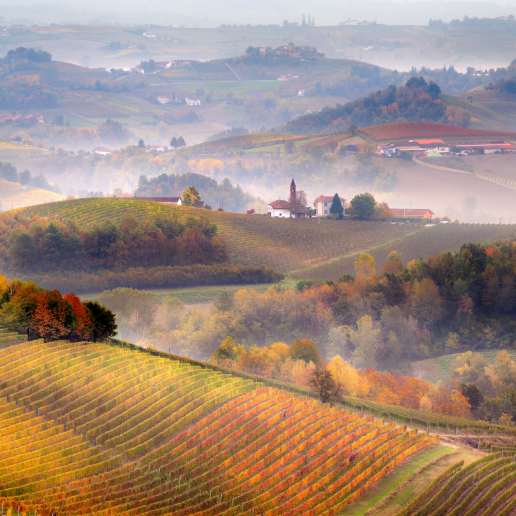 Piedmont and the Langhe, Italy